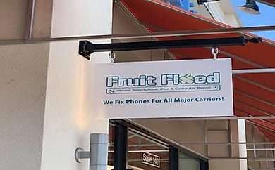 Fruit Fixed