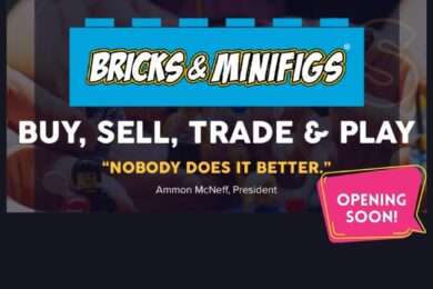 Bricks & Minifigs