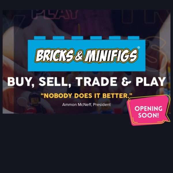 Bricks & Minifigs The Shops at Stonefield in Charlottesville, VA